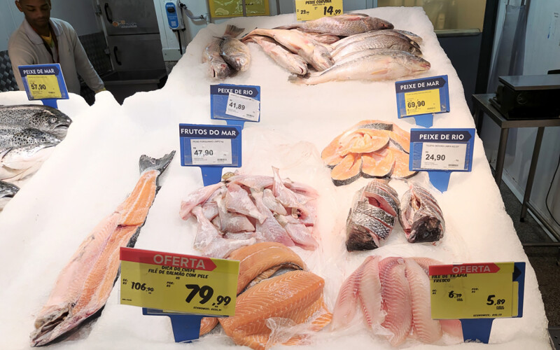 Fresh salmon on ice at a market in Sao Paolo, Brazil
