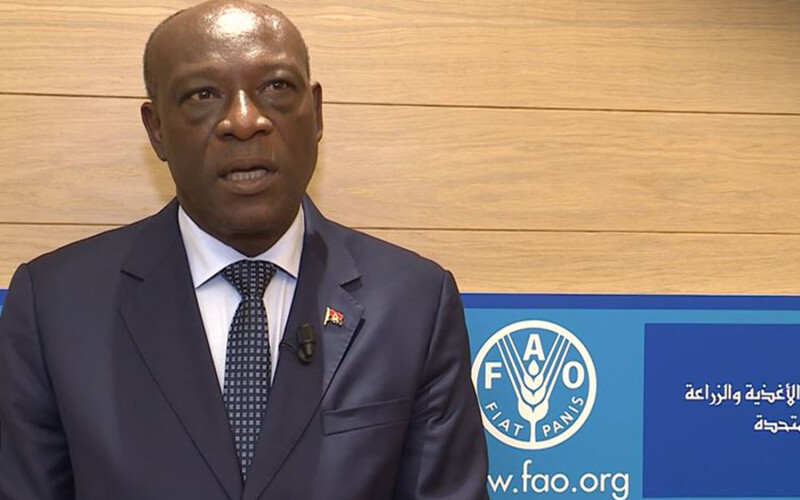 Angola Minister of Agriculture and Fisheries António de Assis