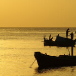 A photo of fishing boats in the Maldives at sunset