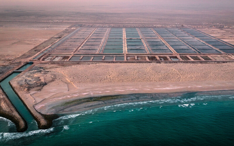 An aerial view of Fisheries Development Oman's shrimp aquaculture project.