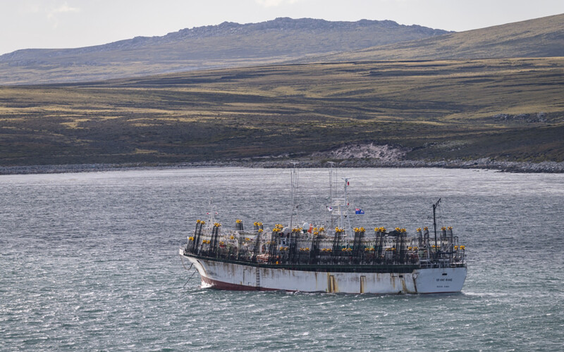 A photo of a squid-fishing vessel in the waters off the Falkland Islands