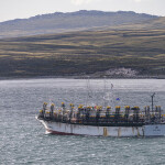 A photo of a squid-fishing vessel in the waters off the Falkland Islands