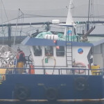 A photo of Scottish Sea Farms employees removing dead fish from a net pen