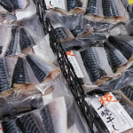 Chunks of packaged Norwegian mackerel destined for sale in Japan