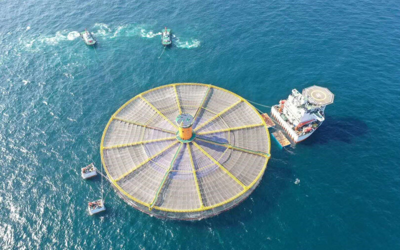 A rendering of an aerial photo of what Pan Ocean's offshore aquaculture technology would look like