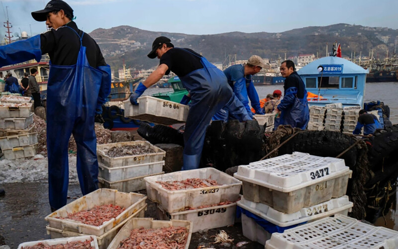 A photo of fishers selling their products at a Vietnamese seafood market