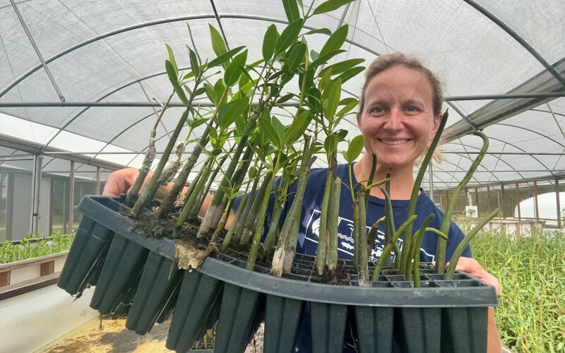 Pine Island Redfish Co-Founder and CEO Megan Sorby holding mangrove plants
