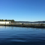 A Cooke Aquaculture aquaculture facility in the U.S. state of Washington