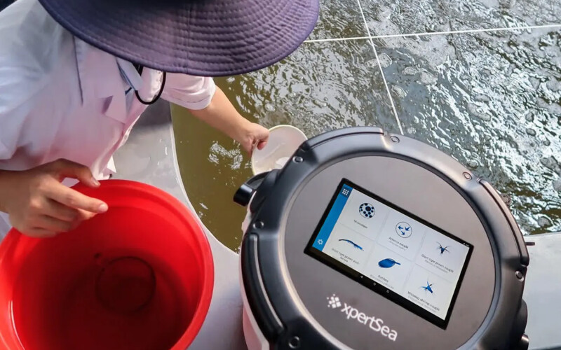 A photo of a fish farmer using XpertSea's XperCount technology, which offers an accurate count of microorganisms, such as fish or shrimp larvae, in a pond in just seconds.
