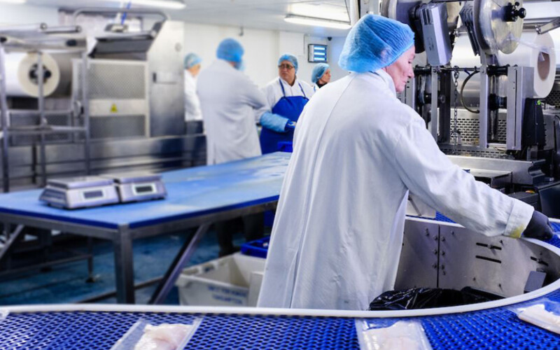 A worker on the processing line of Copernus Fresh Fish in Hull, U.K.