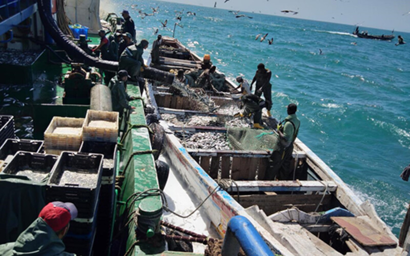 A China Ocean Group Development fishing operation in Mozambique, with a hose shooting fish into a smaller boat.