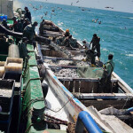 A China Ocean Group Development fishing operation in Mozambique, with a hose shooting fish into a smaller boat.