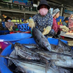 A photo of a woman in a Vietnamese fish market preparing skipjack tuna