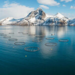 An aerial view of a SalMar operated salmon farm