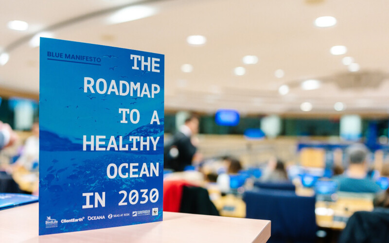 A photo of a promotional card for the Blue Manifesto stating "The Roadmap To A Healthy Ocean in 2030"