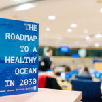A photo of a promotional card for the Blue Manifesto stating "The Roadmap To A Healthy Ocean in 2030"
