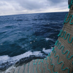 A large fishing net being pulled onto a boat at sea with the North Pelagic Advocacy Group logo in the bottom right corner