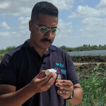 A Tilapia Welfare Egypt Project employee conducts a welfare assessment at an Egyptian Nile tilapia farm