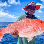 A photo of a red snapper.