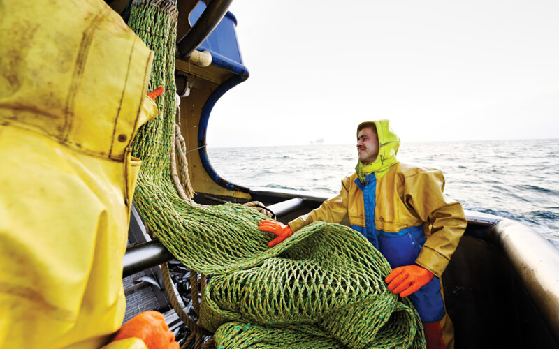A photo of fishers on a boat fishing for North Sea plaice