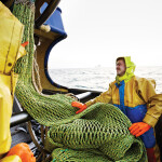 A photo of fishers on a boat fishing for North Sea plaice