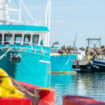 A photo of crab fishing boats in Gaspésie