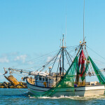 A photo of a U.S. shrimping vessel