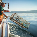 A photo of a Maine lobsterman