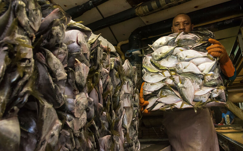 An African man holding a block of frozen fish