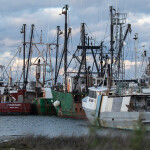 A photo of commercial fishing vessels in the U.S. state of New Jersey
