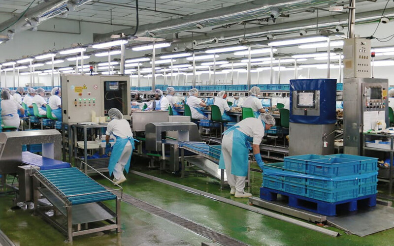 Workers on the floor of a seafood-processing facility operated by Jealsa