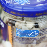 A photo of the blue MSC Fishery Standard eco-label