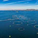 An aerial view of several salmon net pens in blue ocean water near Bergen, Norway