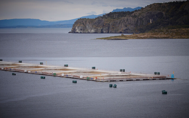 An aerial photo of a salmon farm in southern Chile