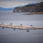 An aerial photo of a salmon farm in southern Chile