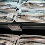 A shelf of mackerel in packaging.
