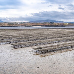 Oyster farming in County Donegal, Ireland