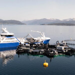 SalMar's "Marine Donut" floating in calm water, being tended by a large boat
