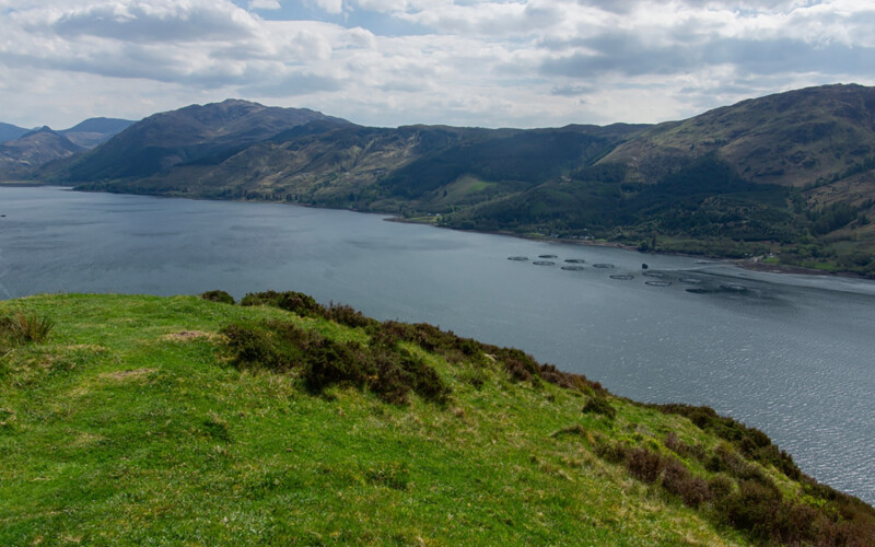 An aerial photo of a Scottish salmon farm in the Highlands