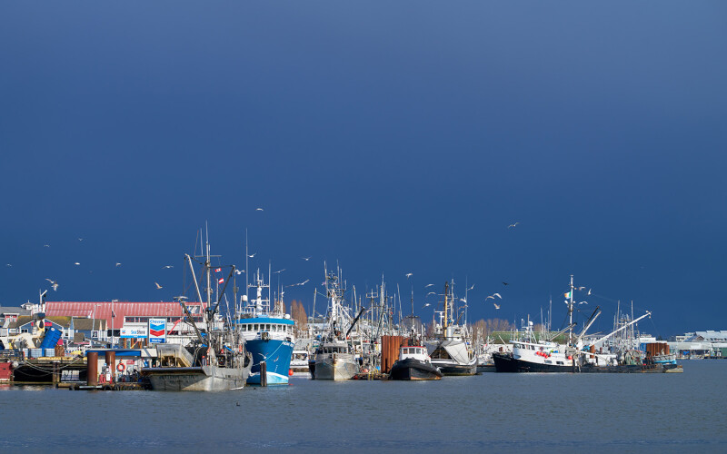 A photo of a harbor in Canada