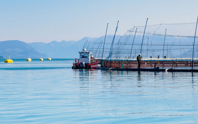 A Lerøy fish farm
