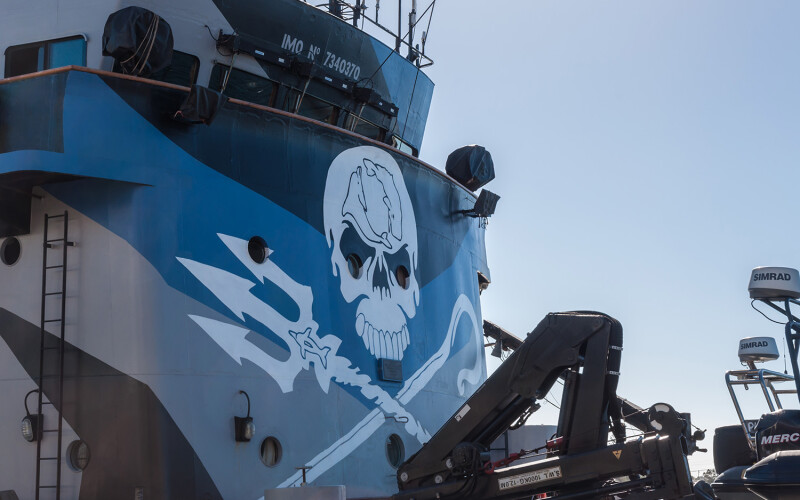 The Sea Shepherd logo on board one of the organization's vessels