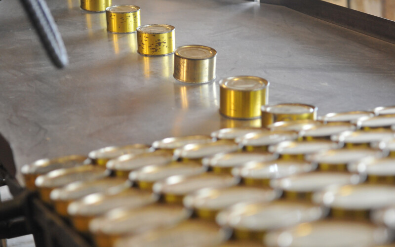 A photo of canned salmon