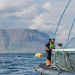 An Icelandic Salmon employee standing on the edge of a salmon net pen with mountains in the background.