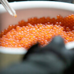Salmon roe in a bowl