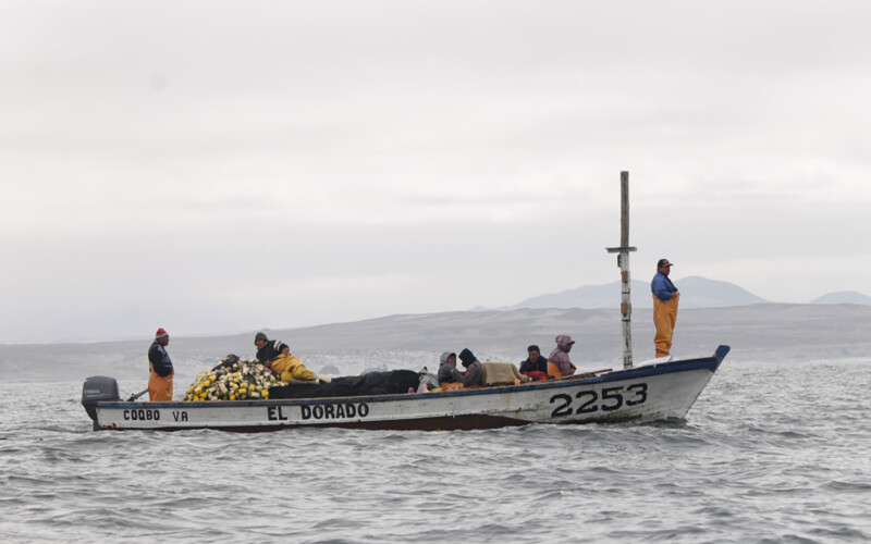 Fishermen off La Serena, Chile