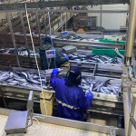 An aerial view of the interior of a Scotland-based seafood processing plant