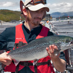 A Multi X employee holding a farmed salmon