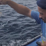 A South African commercial fisher hauling in a squid