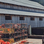 A photo of lobster traps in New Brunswick.